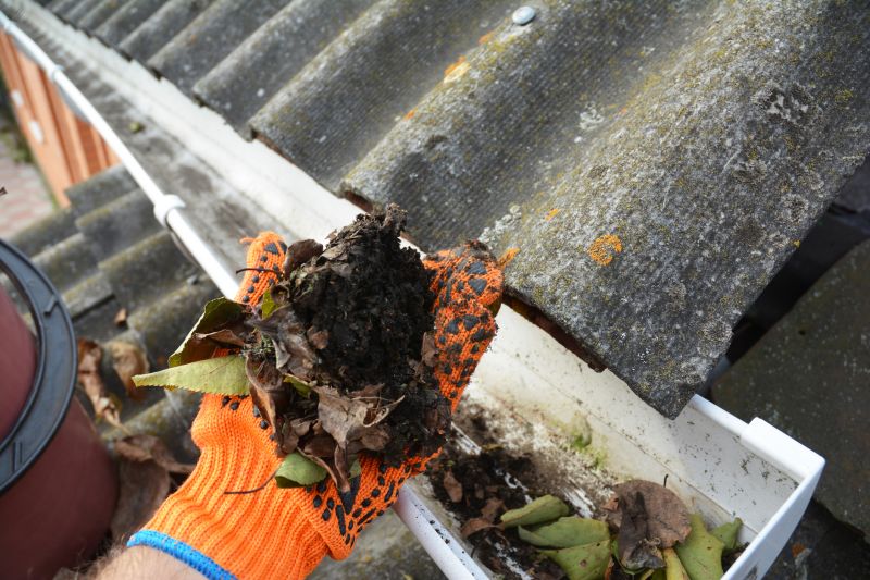 Commercial Gutter Maintenance