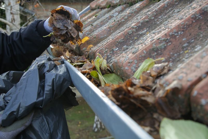 Gutter Debris Disposal