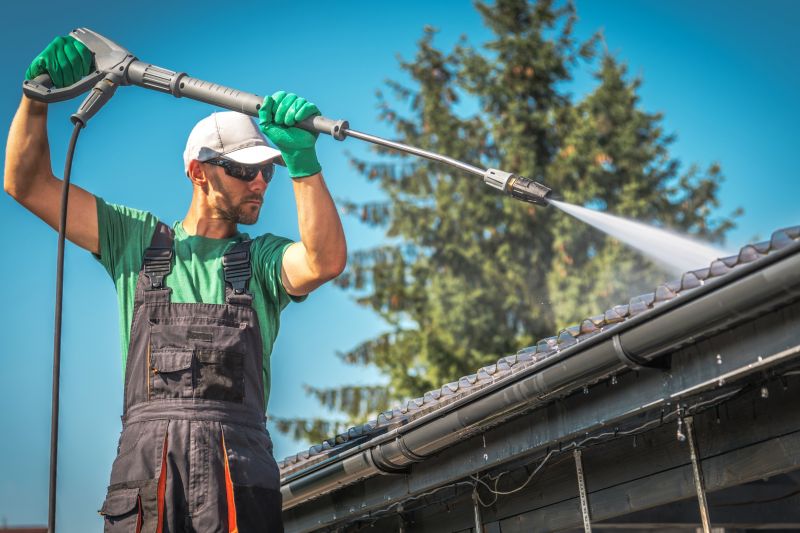 Roof Gutter Cleaning