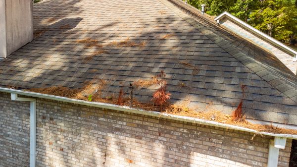 Cost of Gutter Pine Needle Removal in Bethlehem