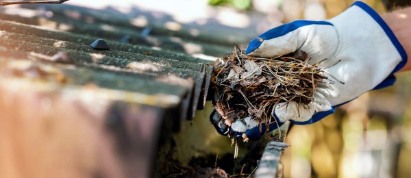 Pine Needle Gutter Cleaning in Bethlehem